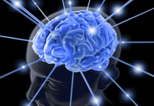 allenamento cervello