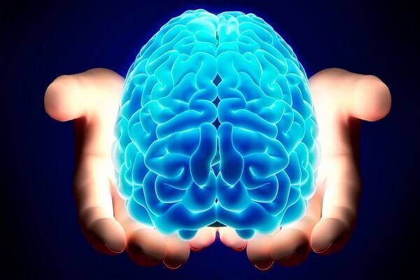 Rigenerazione cerebrale