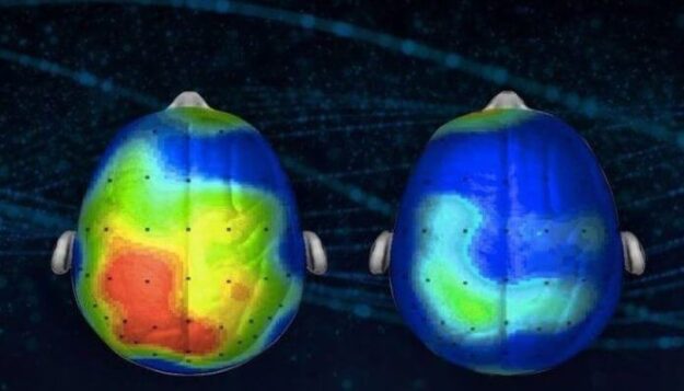 Agenzia Badanti Torino Agenzia Assistenza anziani Torino