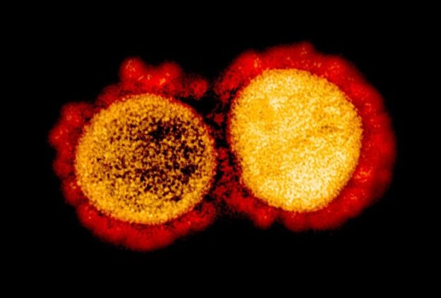 Coronavirus vaccino