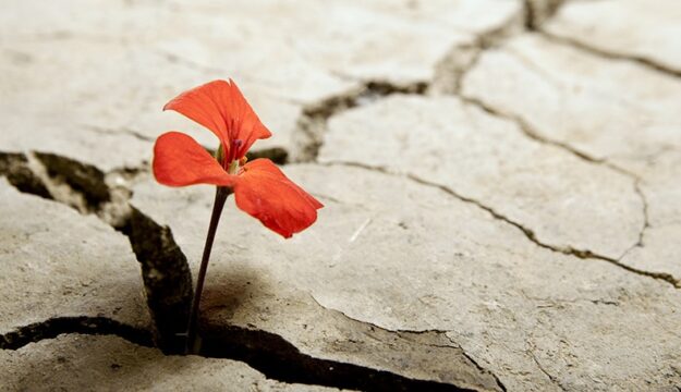 anziani famosi Assistenza anziani torino - Agenzia Badanti Torino