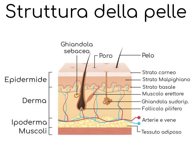 Strati Pelle